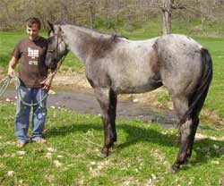 Jackie Blue Denim